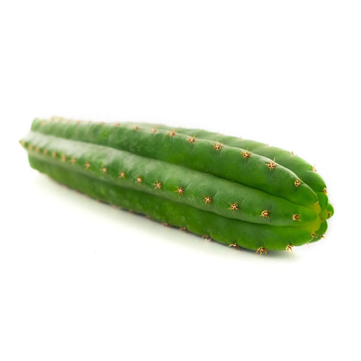 San Pedro