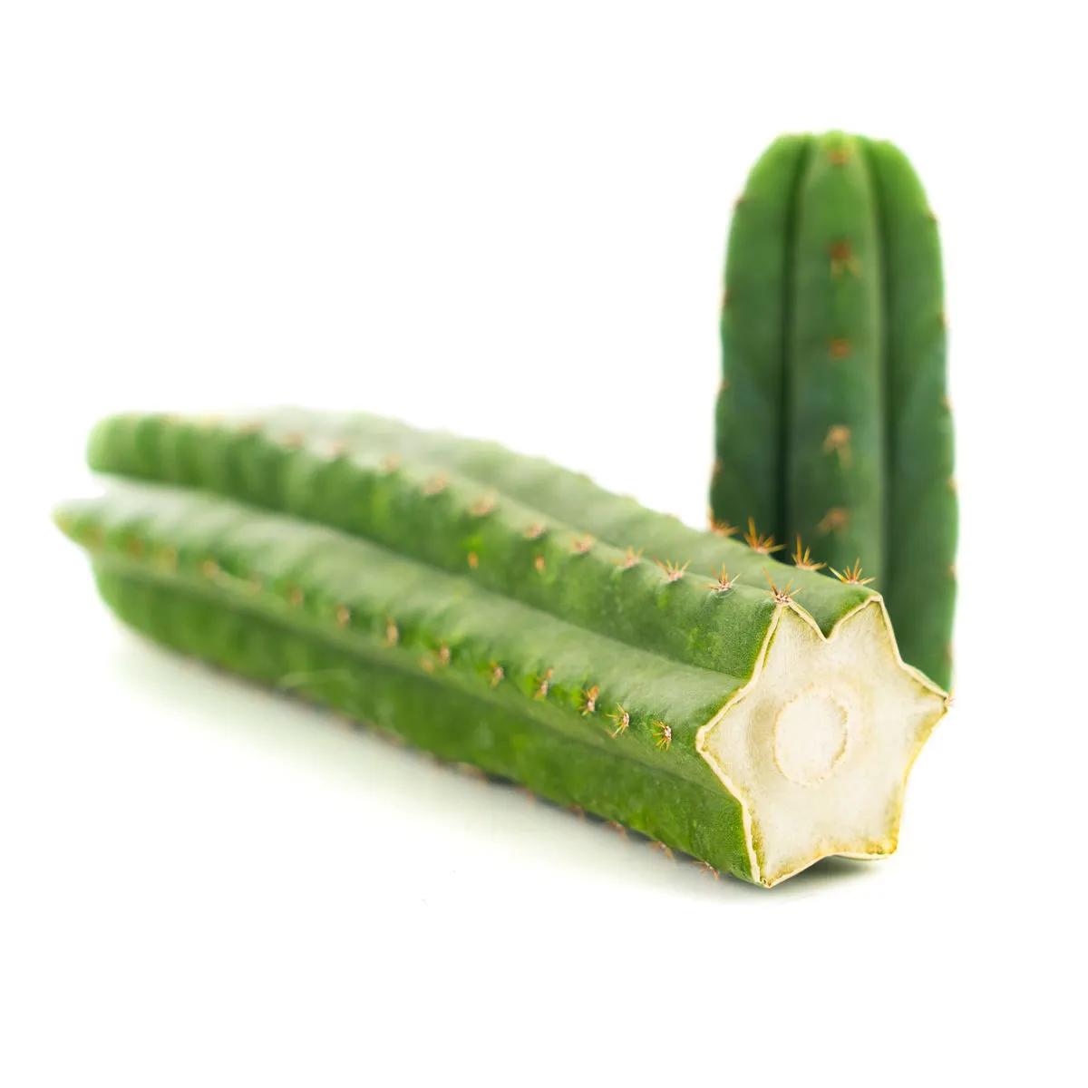San Pedro