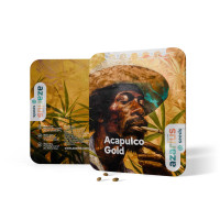 Acapulco Gold - Semillas de cannabis feminizadas de Azarius Seeds