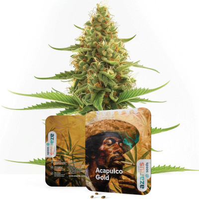 Acapulco Gold - Cannabis Seeds by Azarius Seeds