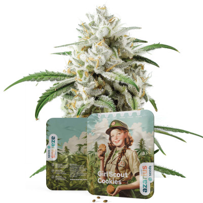 Girl Scout Cookies | Semillas de marihuana de Azarius