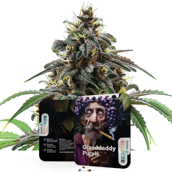 Granddaddy Purple | Semillas de marihuana Azarius