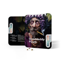 Granddaddy Purple | Semillas de marihuana Azarius