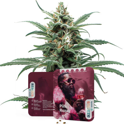 Pink Rozay | Semillas de marihuana Azarius