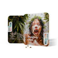 Wedding Cake | Semillas de marihuana Azarius