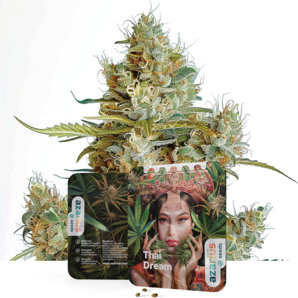 Semillas de cannabis feminizadas Thai Dream de Azarius