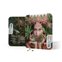 Semillas de cannabis feminizadas Thai Dream de Azarius