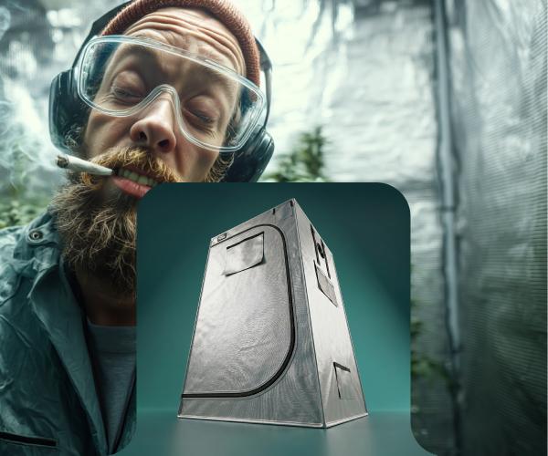 Tu cultivo en casa ideal: kit completo o a medida