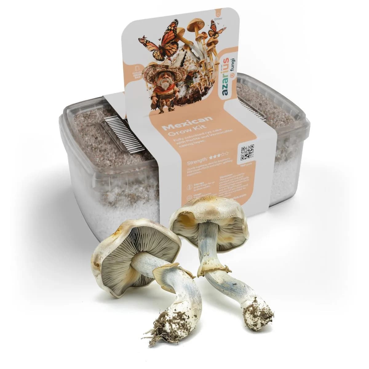 Kit de cultivo de setas mágicas Mexican